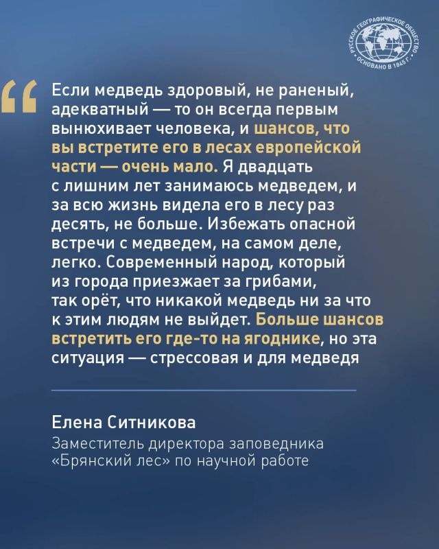 Встретить медведя в России может едва ли не каждый Встретить медведя в России может едва ли не каждый