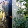 Семь пассажиров автобуса "Москва — Донецк" пострадали в ДТП под Ровеньками