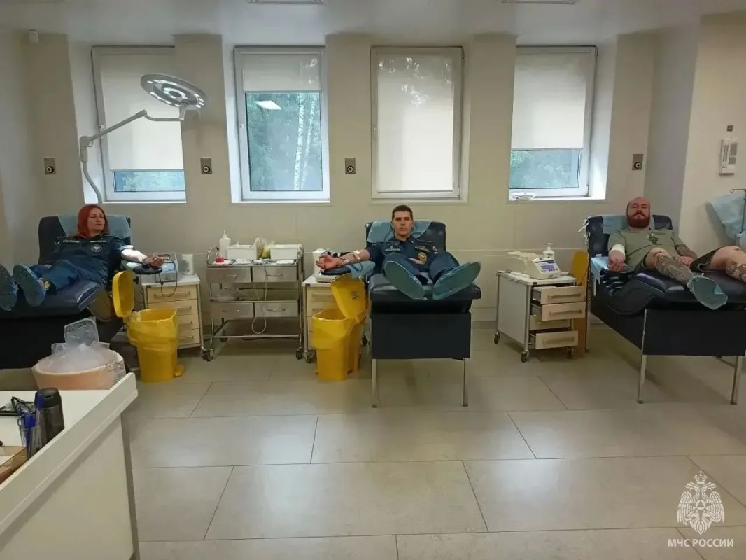 Творить добро у нас в крови! Творить добро у нас в крови!