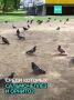 ������ ������ ��������� ���� �������� �� ��������� �������
