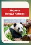 В Московском зоопарке отметят день рождения панды Катюши