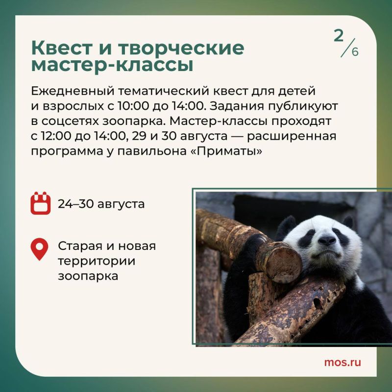 В Московском зоопарке отметят день рождения панды Катюши В Московском зоопарке отметят день рождения панды Катюши