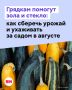 ������ ���������� ������� �������� ������