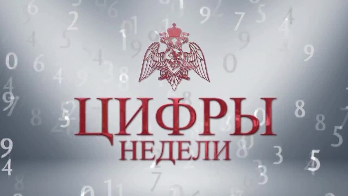 Неделя - в цифрах. Работа столичной Росгвардии - каждый день