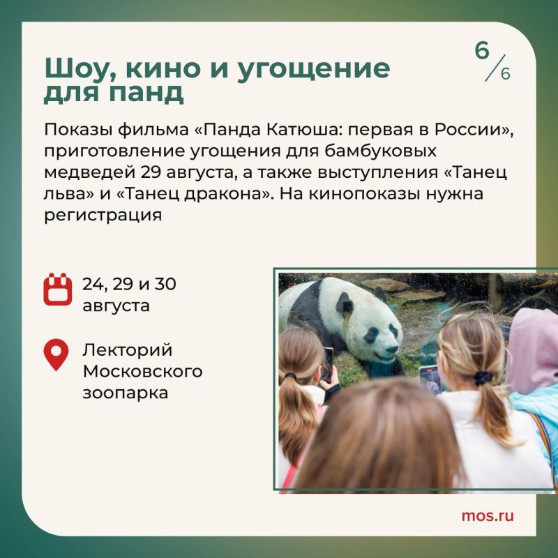 В Московском зоопарке отметят день рождения панды Катюши В Московском зоопарке отметят день рождения панды Катюши