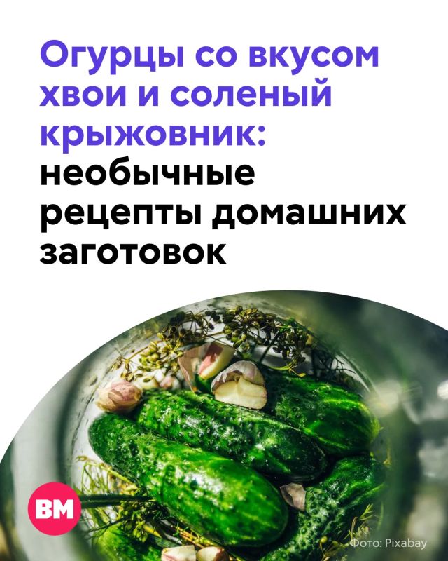 У дачников продолжается горячая пора домашних заготовок: варится варенье, закатываются компоты, замораживаются ягоды