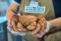 Делимся новостью про морепродукты, но не на рыбных рынках «Москва – на волне», а на московской ярмарке на Тихорецком бульваре, куда новый участник привозит морские деликатесы из Хабаровского края