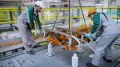 В России начали собирать первые поезда для ВСМ Москва — Петербург
