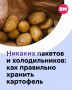 Для многих семей картофель — настоящий стратегический запас