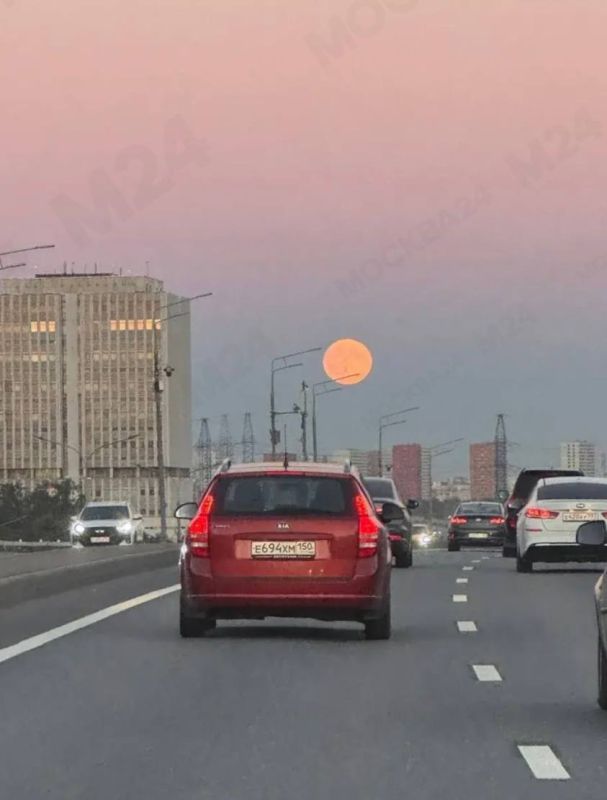 Нет слов — только восхищение: Осетровая Луна украсила небо над Москвой Нет слов — только восхищение: Осетровая Луна украсила небо над Москвой