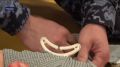 Третий соревновательный день для участников конкурса профмастерства среди сотрудников вневедомственной охраны прошел на территории столичного главка Росгвардии