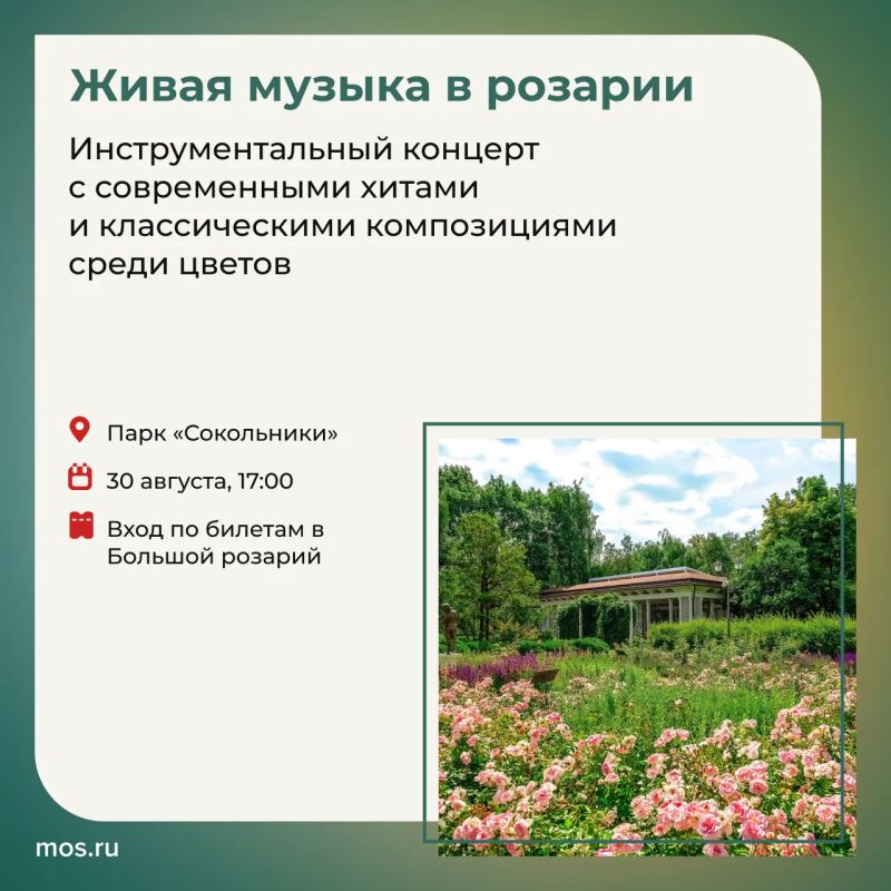 Провести последние выходные августа можно в столичных парках Провести последние выходные августа можно в столичных парках