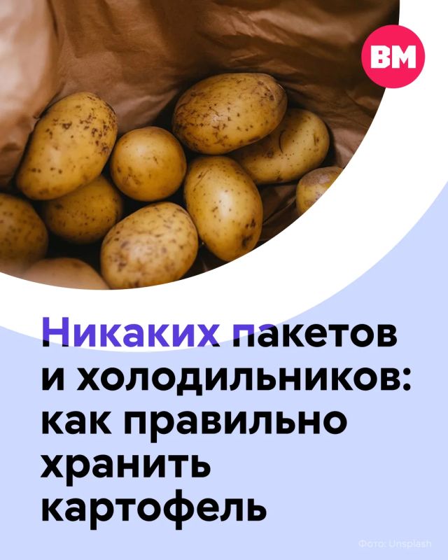 Для многих семей картофель — настоящий стратегический запас