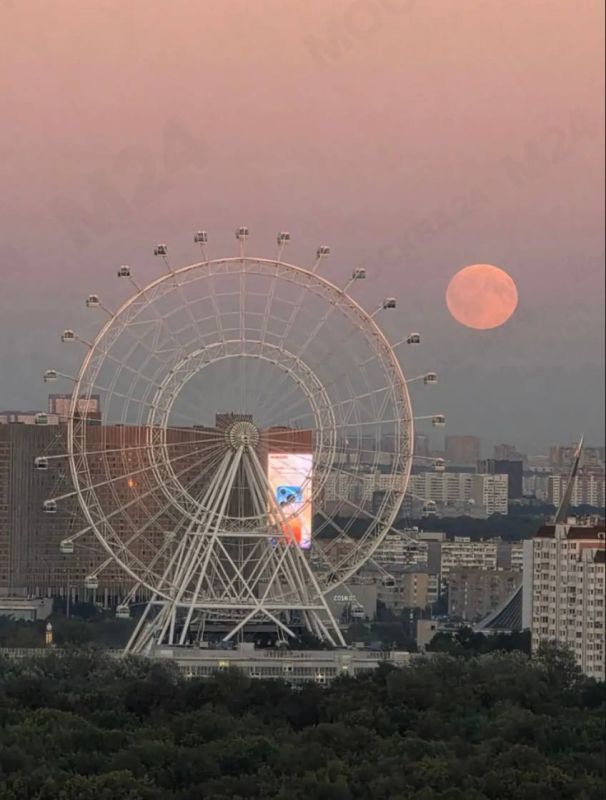 Нет слов — только восхищение: Осетровая Луна украсила небо над Москвой Нет слов — только восхищение: Осетровая Луна украсила небо над Москвой