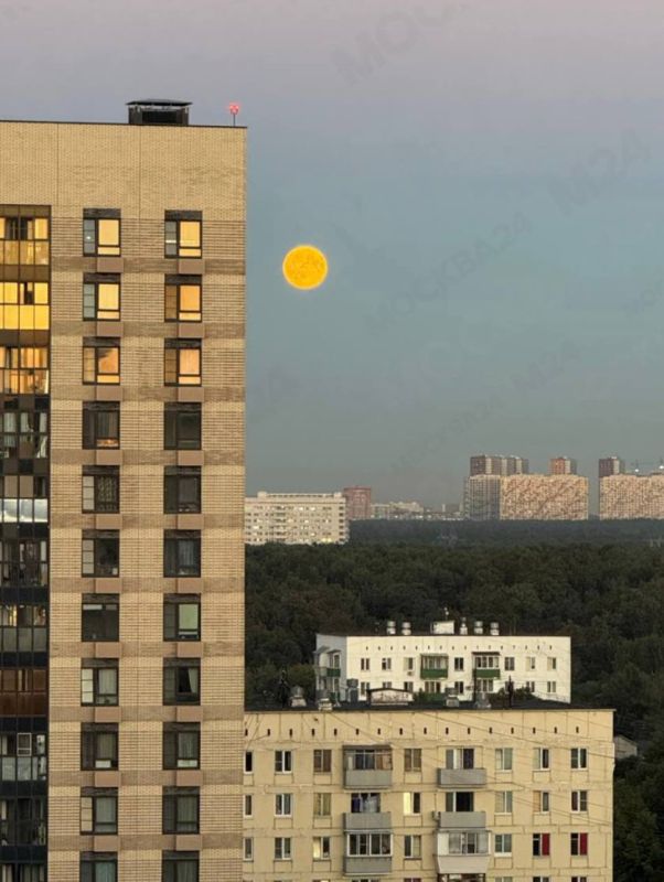 Нет слов — только восхищение: Осетровая Луна украсила небо над Москвой Нет слов — только восхищение: Осетровая Луна украсила небо над Москвой
