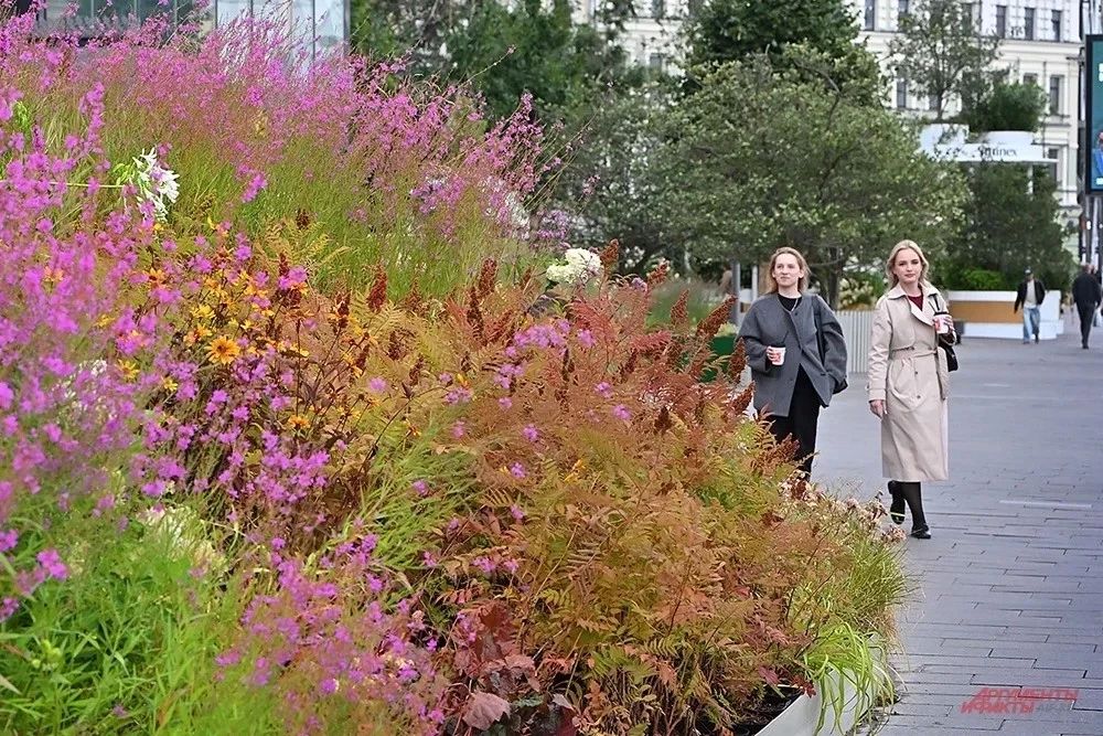 Самая необычная клумба Москвы, которую можно повторить на даче Самая необычная клумба Москвы, которую можно повторить на даче