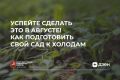 Август заканчивается: что нужно успеть сделать в саду?