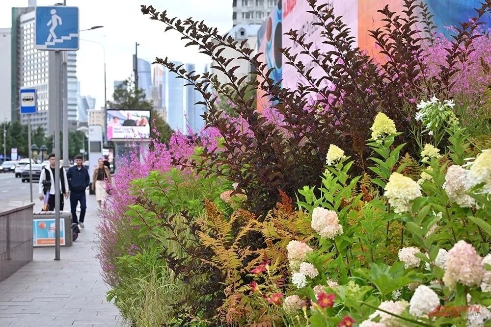 Самая необычная клумба Москвы, которую можно повторить на даче Самая необычная клумба Москвы, которую можно повторить на даче