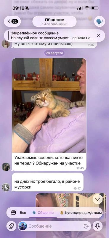 Сезон «дачного геноцида». Нам не надо, пусть мучаются, кто-нибудь подберёт Сезон «дачного геноцида». Нам не надо, пусть мучаются, кто-нибудь подберёт