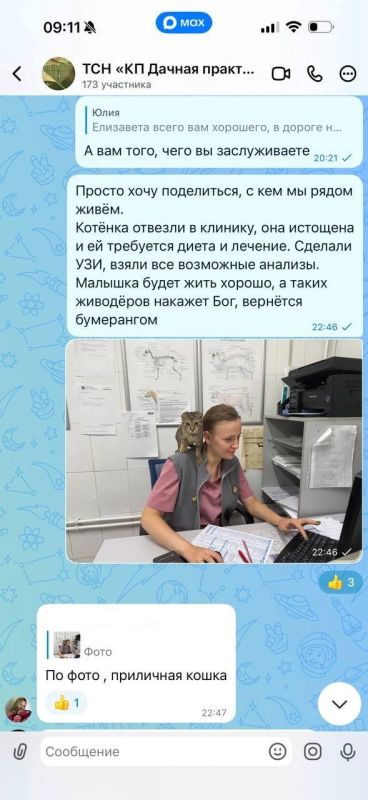 Сезон «дачного геноцида». Нам не надо, пусть мучаются, кто-нибудь подберёт Сезон «дачного геноцида». Нам не надо, пусть мучаются, кто-нибудь подберёт