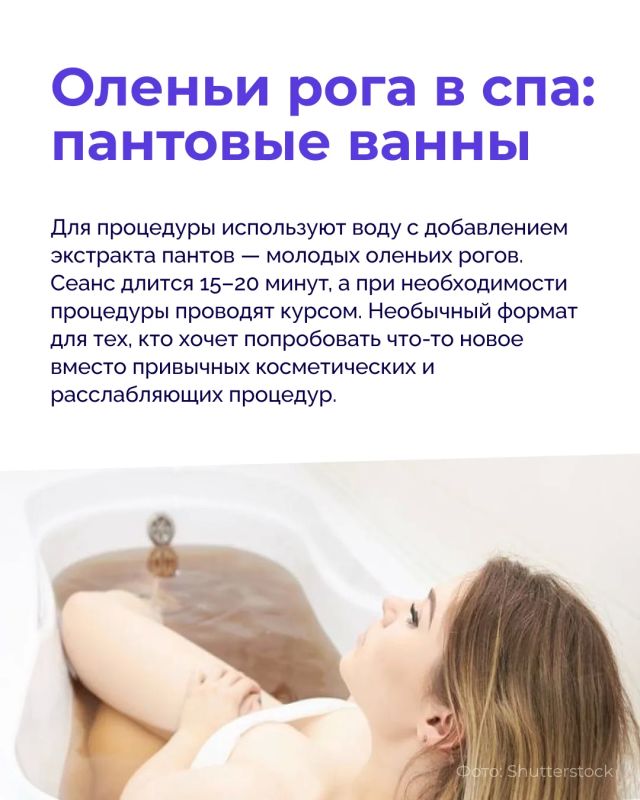С наступлением осени особенно хочется вырваться за город, замедлиться и как следует расслабиться С наступлением осени особенно хочется вырваться за город, замедлиться и как следует расслабиться