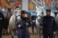 Традиции веры и службы: освящение лошадей в 1-м СПП
