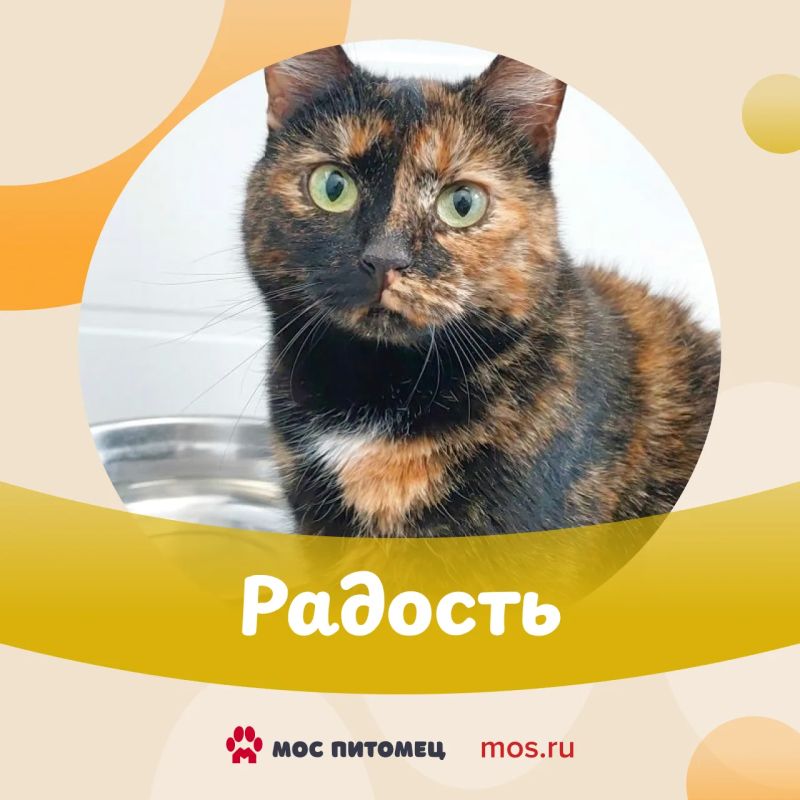 Этот #ПушистыйПонедельник выпал на День ветеринарного работника Этот #ПушистыйПонедельник выпал на День ветеринарного работника