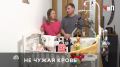 Москвичи Наталья и Павел Ивановы борются за приемную дочь, от которой отказалась биологическая мать