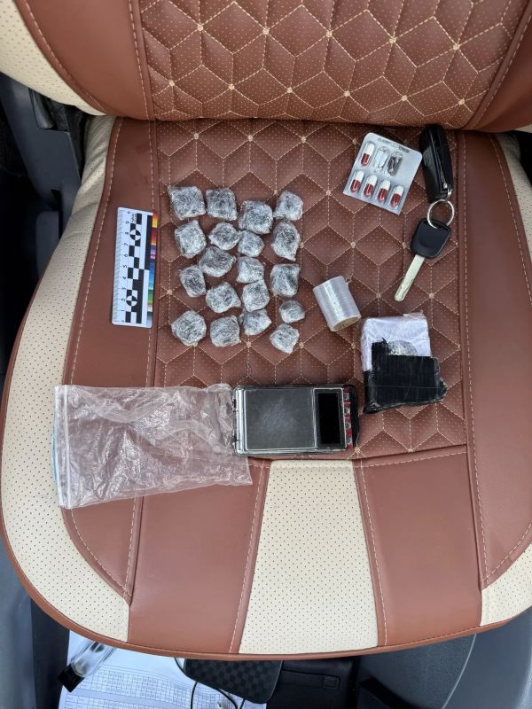 В Троицке полицейские изъяли крупную партию гашиша из иномарки В Троицке полицейские изъяли крупную партию гашиша из иномарки