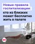 С 1 сентября в России изменились правила совместного пребывания пациентов и их близких в стационарах