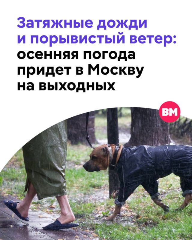 Синоптики заявили об «осеннем шторме» в Москве в выходные, 5 и 6 сентября