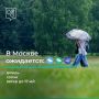 В Москве непогода. По прогнозам синоптиков, завтра ночью и днем в отдельных районах столицы ожидается сильный дождь, в дневные часы с грозой и усилением ветра до 17 м/с