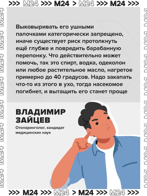 Насекомое можно извлечь из уха при помощи водки или масла Насекомое можно извлечь из уха при помощи водки или масла