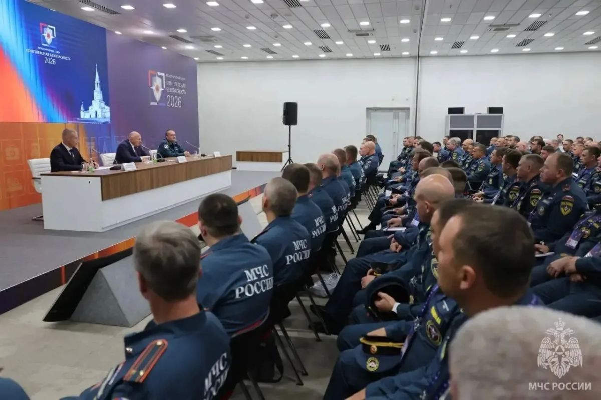 Надзорная деятельность МЧС России: актуальные вопросы и практические решения