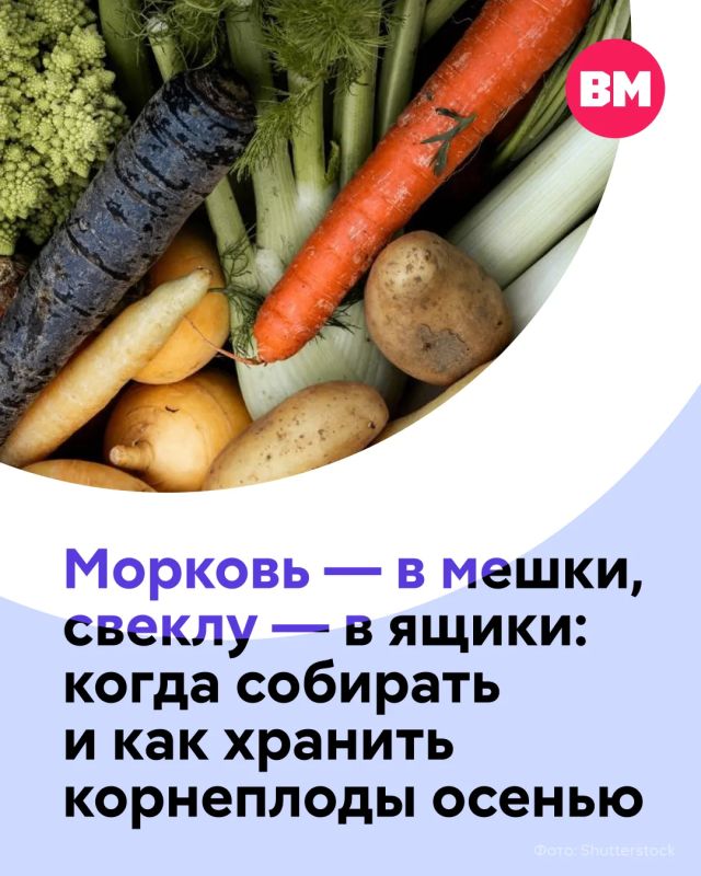 Сентябрь — не время расслабляться дачникам