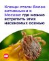 Увы, сезон клещей не закончился, несмотря на сентябрьское снижение температуры