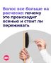 � ������������ ����� ������ ��������, ��� ����� �� ��������, ������ � � ������ ���������� ������