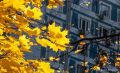 Листья в Москве начнут желтеть во вторник, сообщил РИА Новости синоптик Тишковец