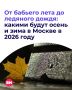 Теплые дни заканчиваются, и осень постепенно приходит в Москву