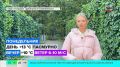 АТМОСФЕРА: осенний холод сменится 25-градусным теплом уже в четверг