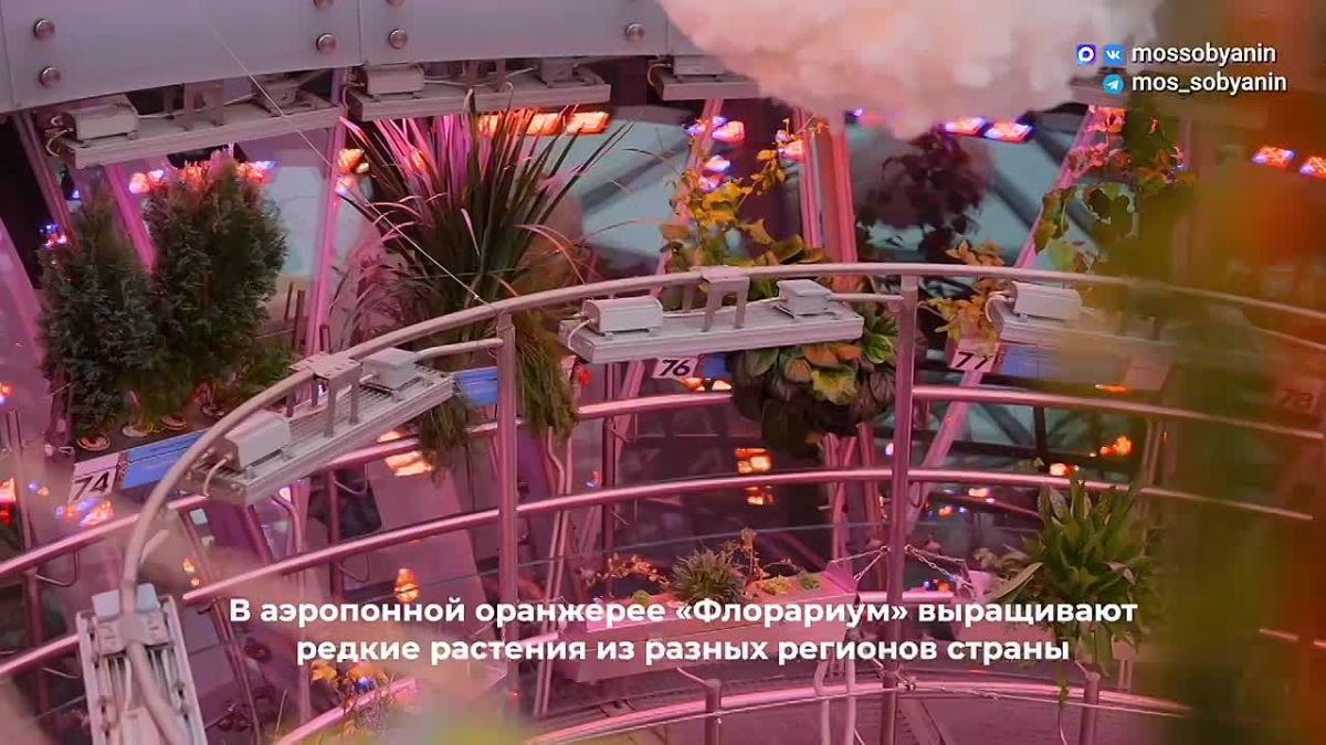 Сергей Собянин: 9 лет назад открылся парк "Зарядье" — символ современной Москвы