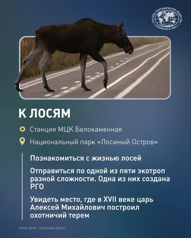 Осень — не время прятаться дома! Осень — не время прятаться дома!