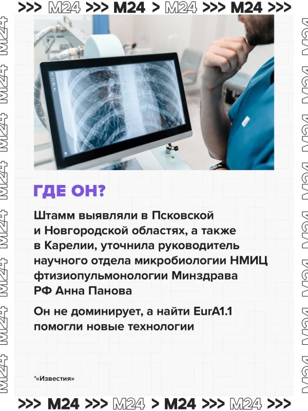 Учёные нашли в России штамм туберкулёза, устойчивый к стандартным лекарствам Учёные нашли в России штамм туберкулёза, устойчивый к стандартным лекарствам