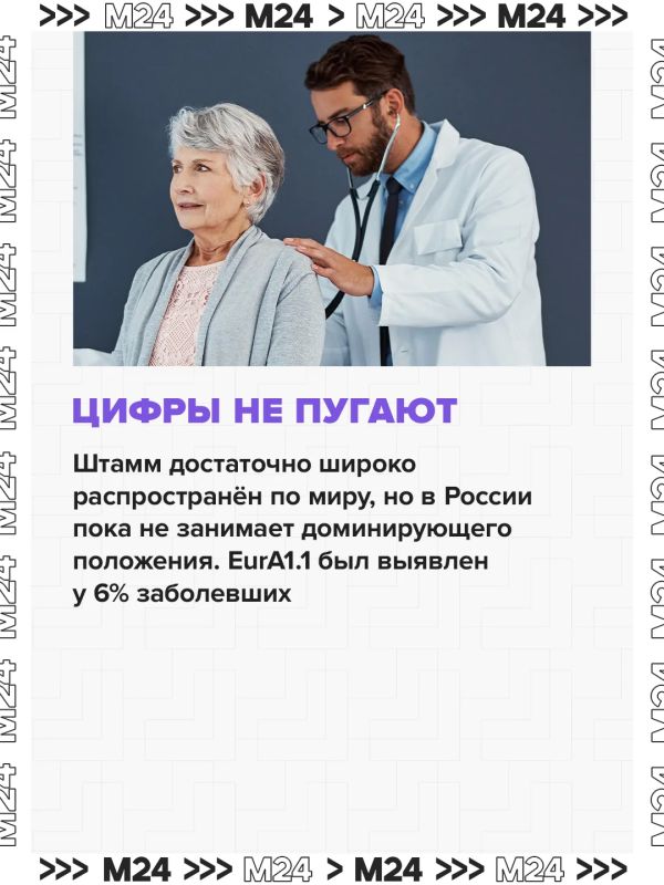 Учёные нашли в России штамм туберкулёза, устойчивый к стандартным лекарствам Учёные нашли в России штамм туберкулёза, устойчивый к стандартным лекарствам