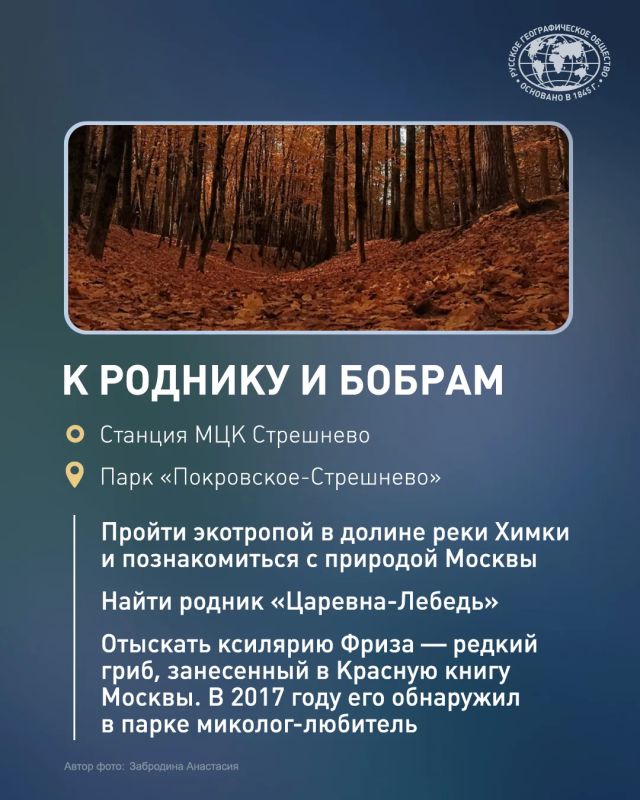 Осень — не время прятаться дома! Осень — не время прятаться дома!