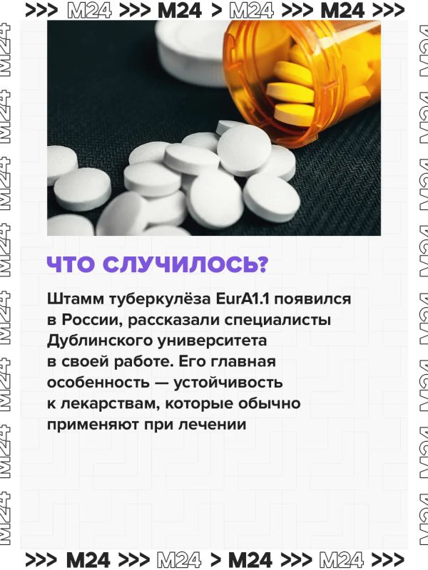 Учёные нашли в России штамм туберкулёза, устойчивый к стандартным лекарствам Учёные нашли в России штамм туберкулёза, устойчивый к стандартным лекарствам