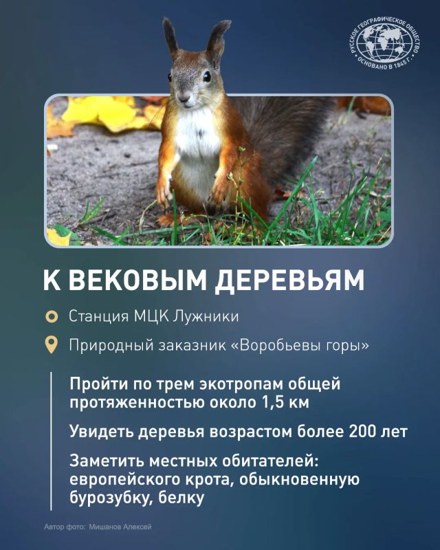 Осень — не время прятаться дома! Осень — не время прятаться дома!