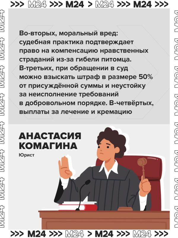 Владельцы собак, которые обвинили «Ветбиохим» в гибели питомцев после вакцины «Мультикан-8», получили предложения о денежной компенсации Владельцы собак, которые обвинили «Ветбиохим» в гибели питомцев после вакцины «Мультикан-8», получили предложения о денежной компенсации