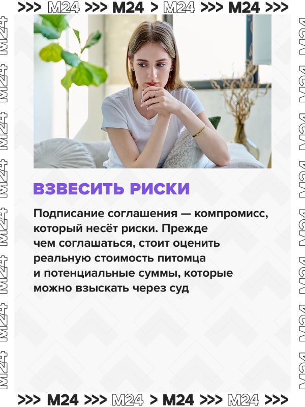 Владельцы собак, которые обвинили «Ветбиохим» в гибели питомцев после вакцины «Мультикан-8», получили предложения о денежной компенсации Владельцы собак, которые обвинили «Ветбиохим» в гибели питомцев после вакцины «Мультикан-8», получили предложения о денежной компенсации