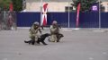 Фестиваль "10 лет Росгвардии", посвящённый юбилею образования ведомства и 215-й годовщине войск правопорядка, прошёл в московском спортивном комплексе "Лужники", собрав более 25 тыс